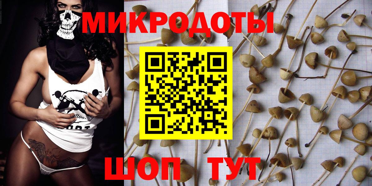 купить  сайты  Псилоцибиновые грибы Magic Shrooms  Вход с VPN  Донецк  Псилоцибиновые грибы MAGIC MUSHROOMS 